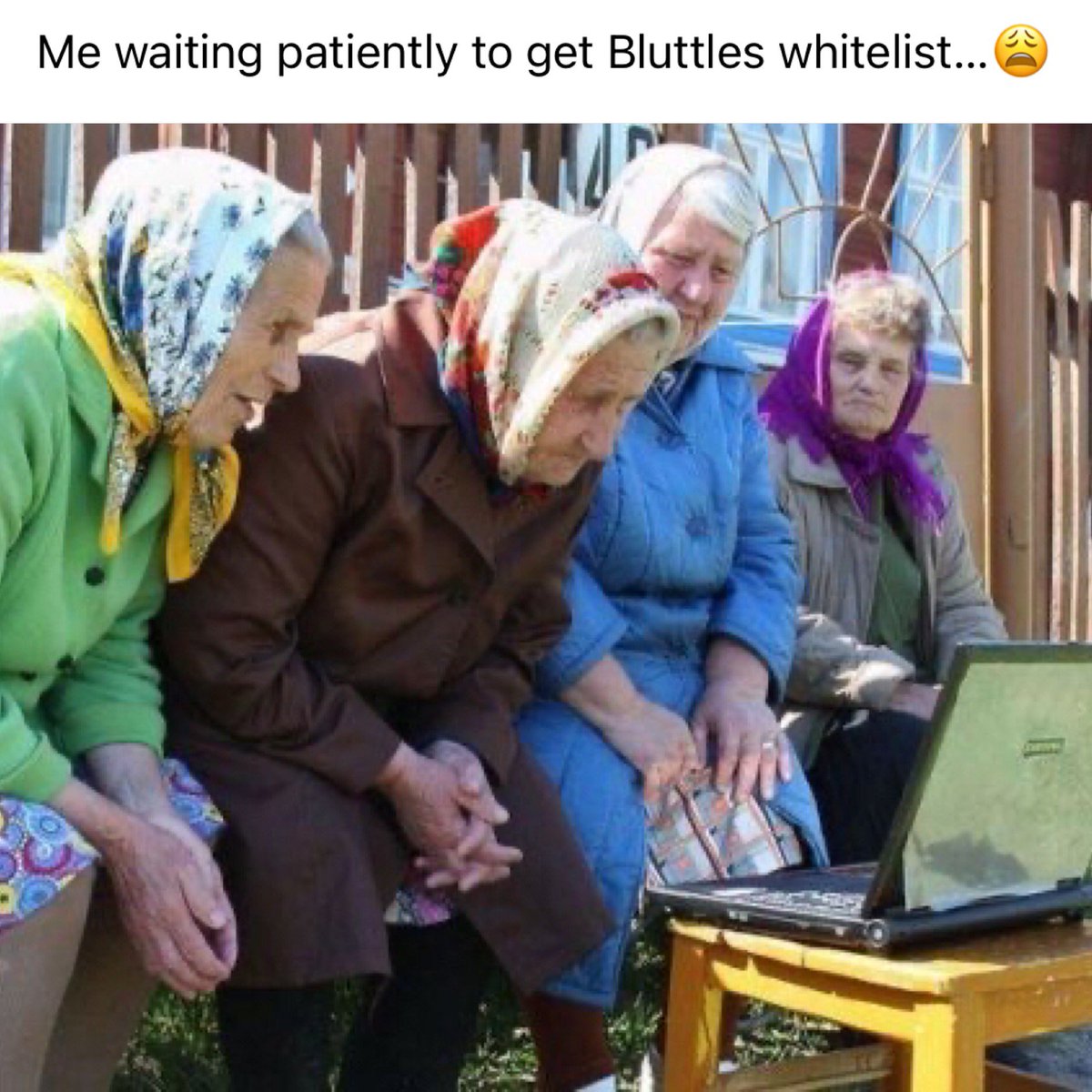 JIGGIFYY's tweet photo. Me waiting patiently to get my Bluttles whitelist ๐ฉ https://t.co/ZUbZutLYD3