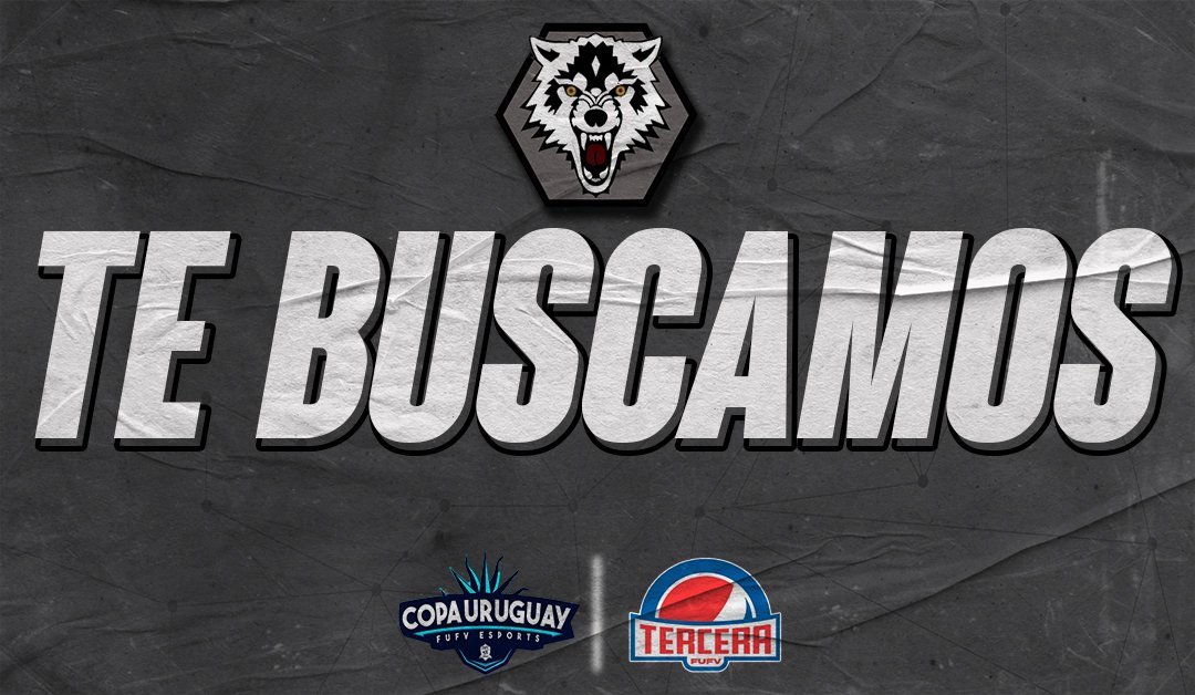 WOLVERINES LC tweet media