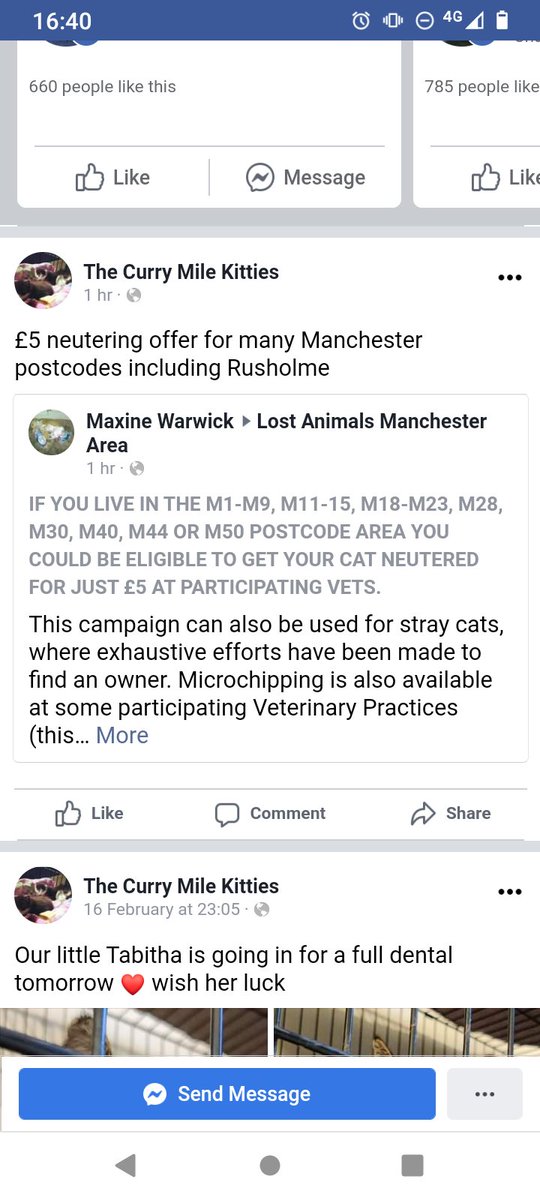 MileKitties's tweet photo. Got a cat in Manchester? https://t.co/i8FaHlUhXu