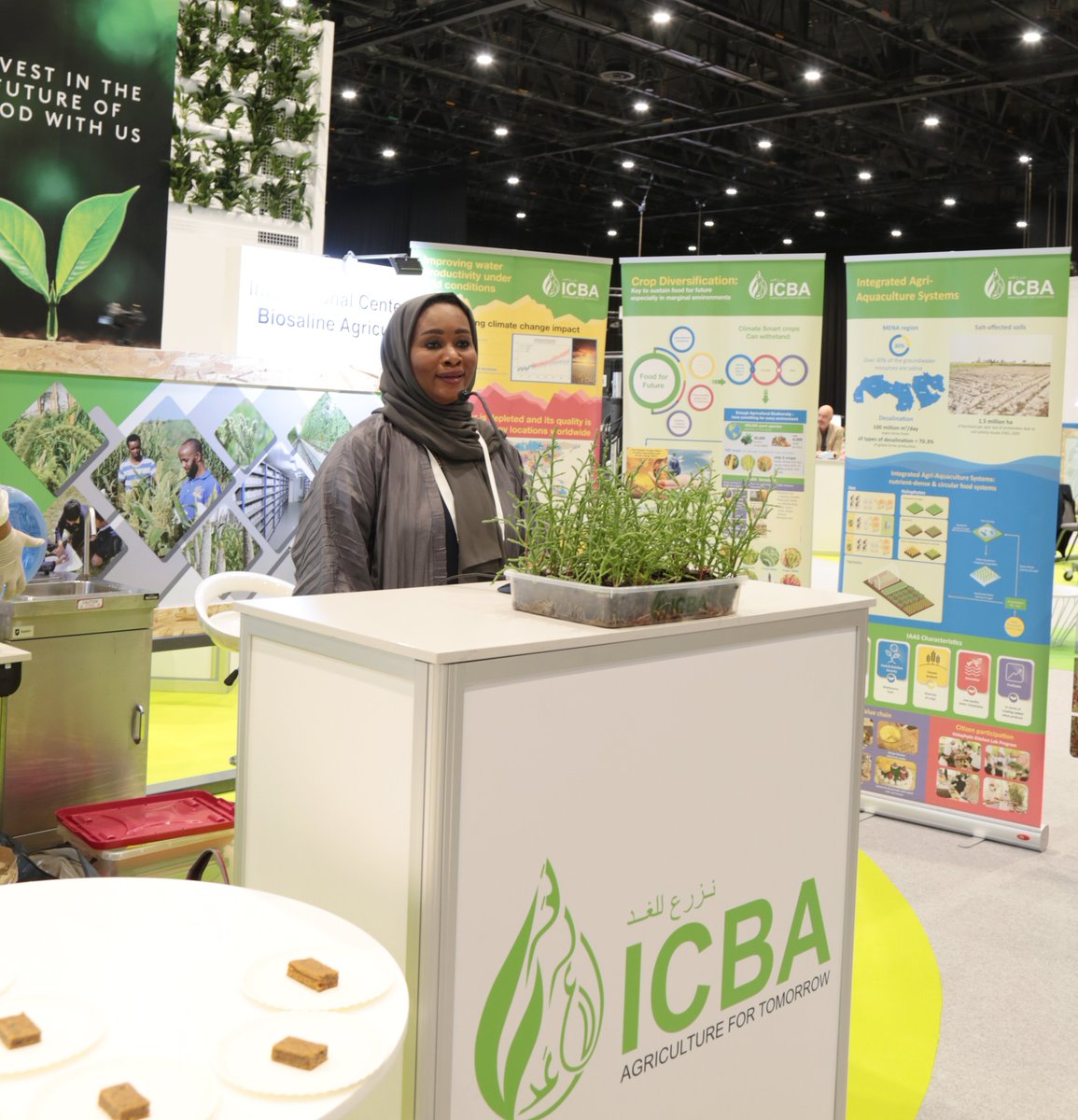 ICBAAgriculture's tweet photo. We were delighted to welcome more than 200 participants today @ICBAAgriculture stand during the first day of the #FoodFodtheFutureSummit, organized as part of the Food, Agriculture and Livelihoods week at the #Expo2020Dubai .🧵
#HalophyticKitchenLab #ICBAYES https://t.co/BcjvTaKFUp