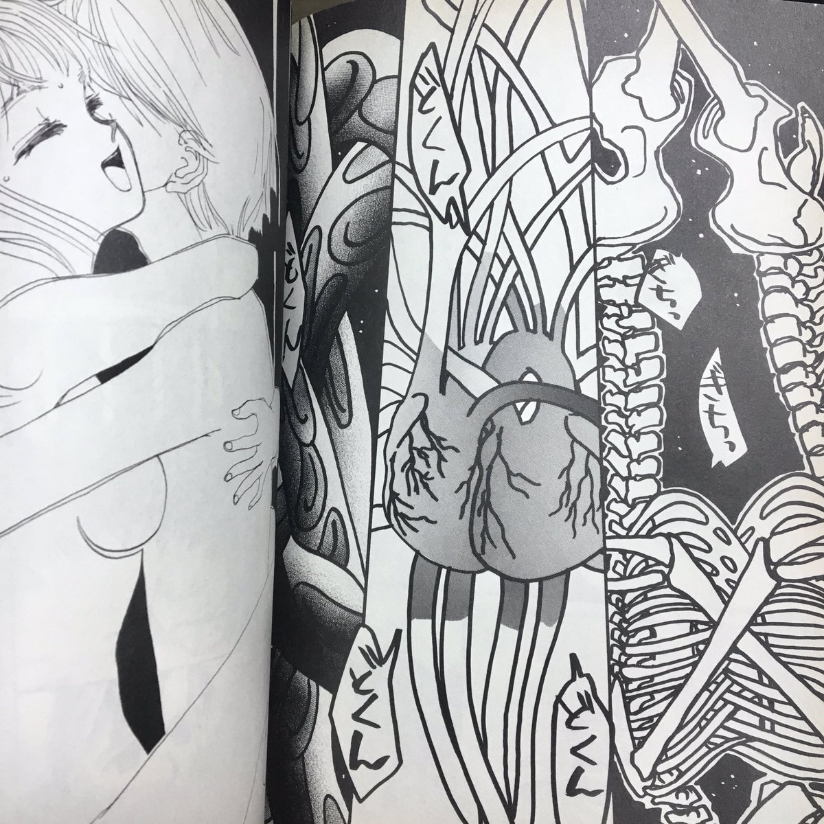 90年代の成人向け漫画なので断面図なんかは発明前なのだがあめかすり先生がまだ見ぬ平野を切り拓きまくっていて度肝を抜かれる。 ※nfsw 