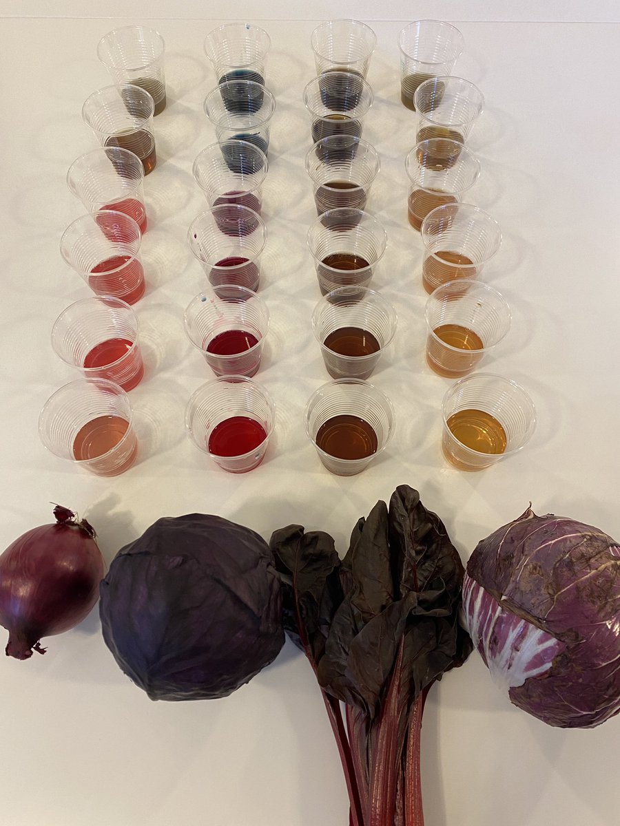 Week 7 Science of Food <a href="/CatholicUniv/">The Catholic University of America</a> Rome Campus! Now we’re cooking with acid! What do acids do to foods? A local market provided lots of local purple vegetables for experiments with pH. Then we “tested” olive oil from last weeks field trip. With wine. It was that kind of test.