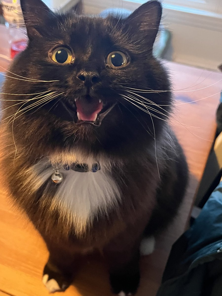 <a href="/relicofthepast/">Relic of the Past Podcast</a> <a href="/PenanceRPG/">Penance RPG 🐉 🏳️‍🌈 🐀</a> <a href="/terrible_party/">Terrible Party!</a> <a href="/TreasonNo/">Gunpowder, Treason, No Plot</a> <a href="/WebWitch81000/">👾 Nearly Blind Nut is Back?! 😹</a> <a href="/irafpodcast/">🎲... I Rolled A Four.🐉</a> <a href="/Muddlin_Through/">Muddlin Through</a> <a href="/StackODice/">Stack 🌻 Dice</a> <a href="/AnitaBridges2/">Anita Bridges</a> <a href="/xb0shi3x/">Brandalf the Blonde</a> <a href="/tykashow/">🐋</a> <a href="/DeGustafson/">Derek Gustafson (he/him) is Catface Games</a> @lionsoflegend <a href="/pwp_dnd/">🪄Power Word: Play🔥</a> <a href="/adora_belleD/">🇬🇧🇳🇿</a> @DangerDames @TheDice_Casters