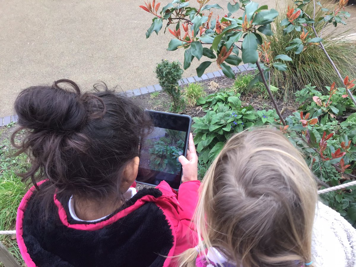 MissTaylor2W's tweet photo. To start their new topic on Plants, Year 2 made careful observations of common plants and trees and identified similarities and differences between them. Very impressive to see how much they remembered from Year 1! 🌳🌲🌻🌷 https://t.co/8JOk6bVYsV