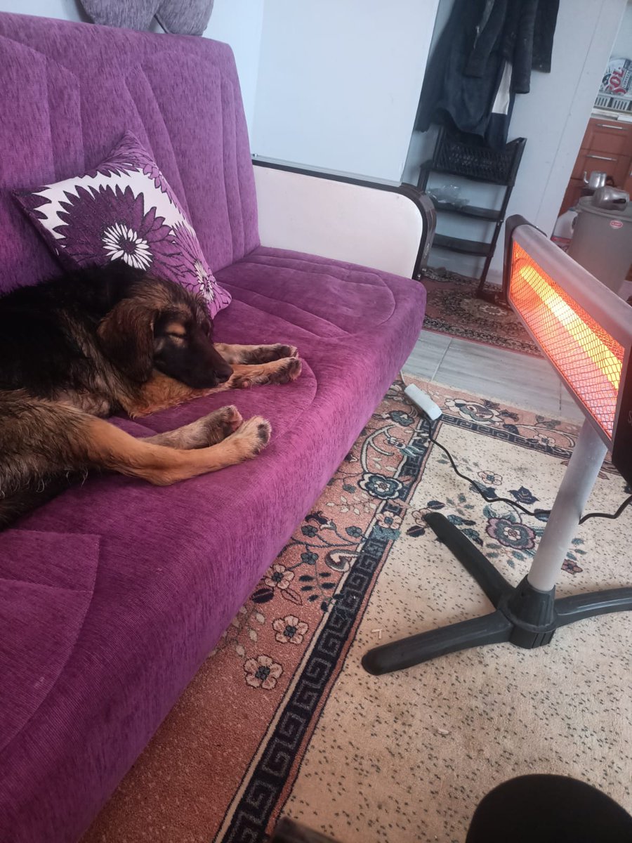 Elektrik zamları var diye ısınmayalımmı ben zam falan bilmem diyo🤣