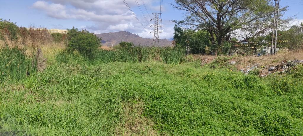 engelbertrivero's tweet photo. #AlMomento asi se encuentra el canal q bordea las casas de la 4ta etapa de Ciudad Alianza y el Liceo Santiago F. Machado. Al llegar las lluvias el riesgo es inminente
#CiudadAlianza
#Guacara
Hilo https://t.co/WGDX4U5JZz