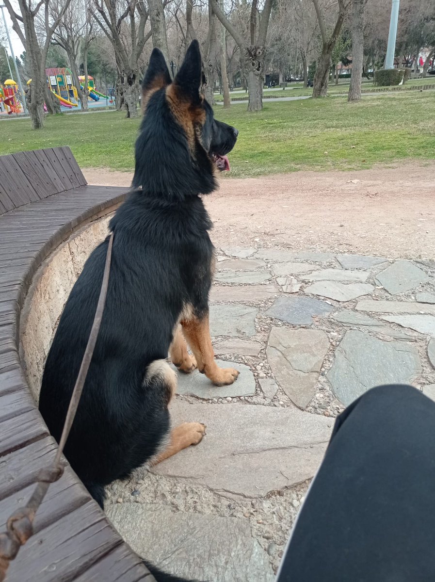 Gezmelere doyamıyorum 

"Profiline KimlerGirdi"