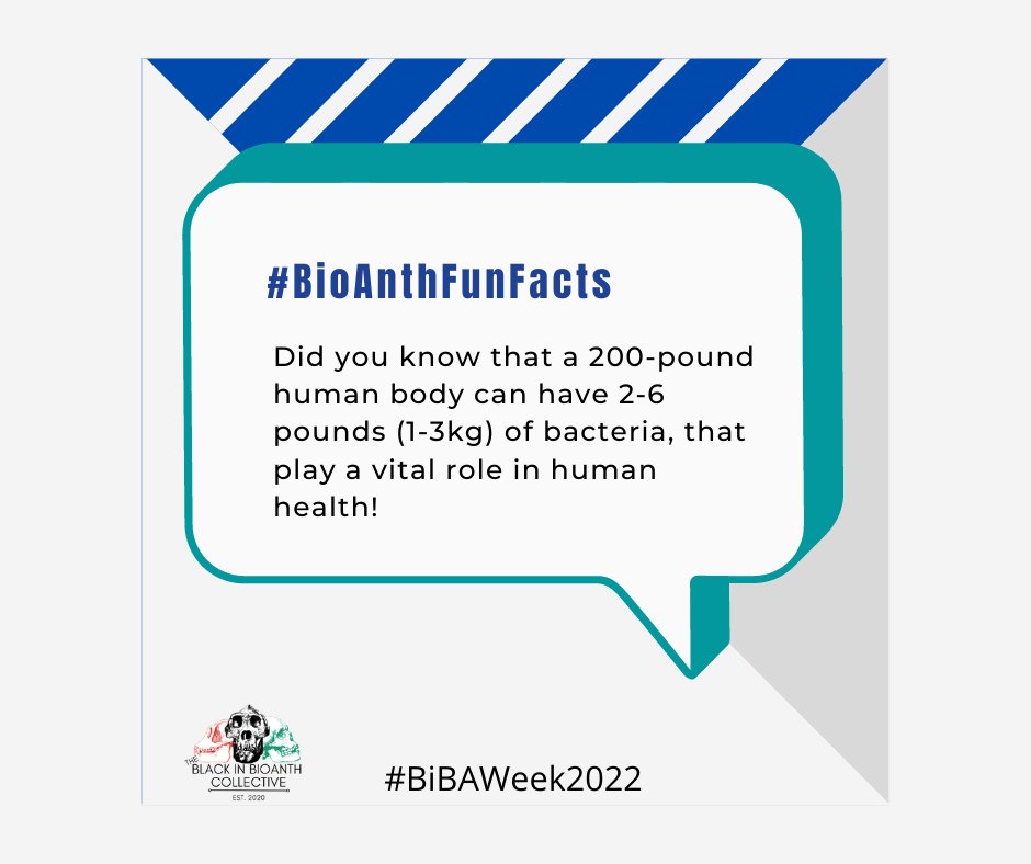 BlackinBioAnth's tweet photo. Share your #BioAnthFunFacts today and tag us @blackinbioanth to be featured on our story and page! #BiBAWeek2022 #BlackinBioAnth
#anthropology #biologicalanthropology #forensicanthropology #genetics #primatology #blackscientistsmatter #blackinstem #blackhistorymonth https://t.co/Sw0IeVgyAm