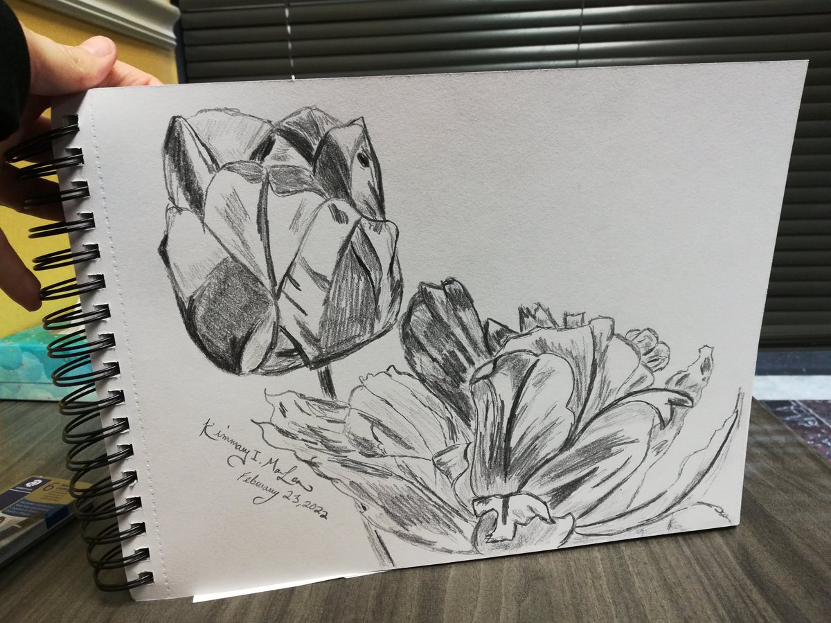 ArtistKimmary's tweet photo. Have sketchbook will draw. 

2 hour blood draw today, but I have a new sketchbook to fill so here we go!

#draw #sketch #sketchbook #pencil #drawing #flowers #nature #appointments #health #fillingtime #artistontwitter https://t.co/wEAAhqj60T