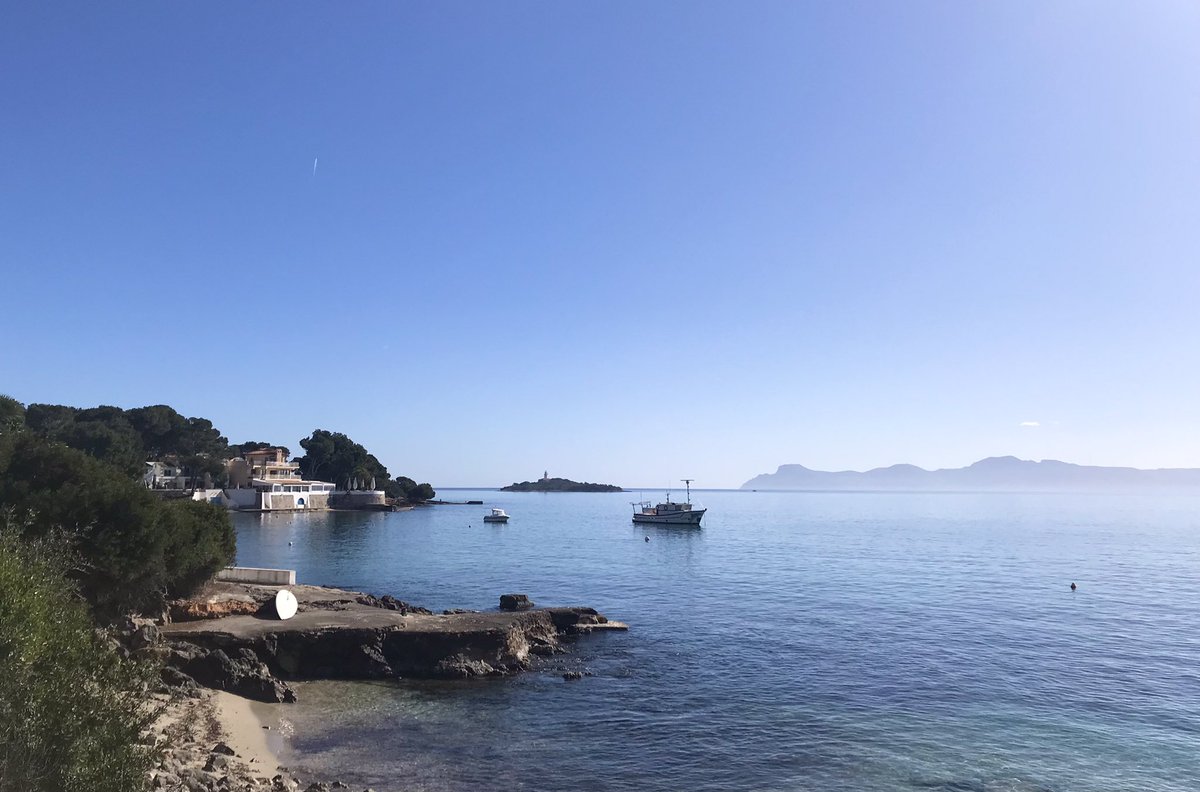 belviderefondo's tweet photo. Apologies but what a beautiful day today!! 😎☀️😍 https://t.co/bY9QUTZecy