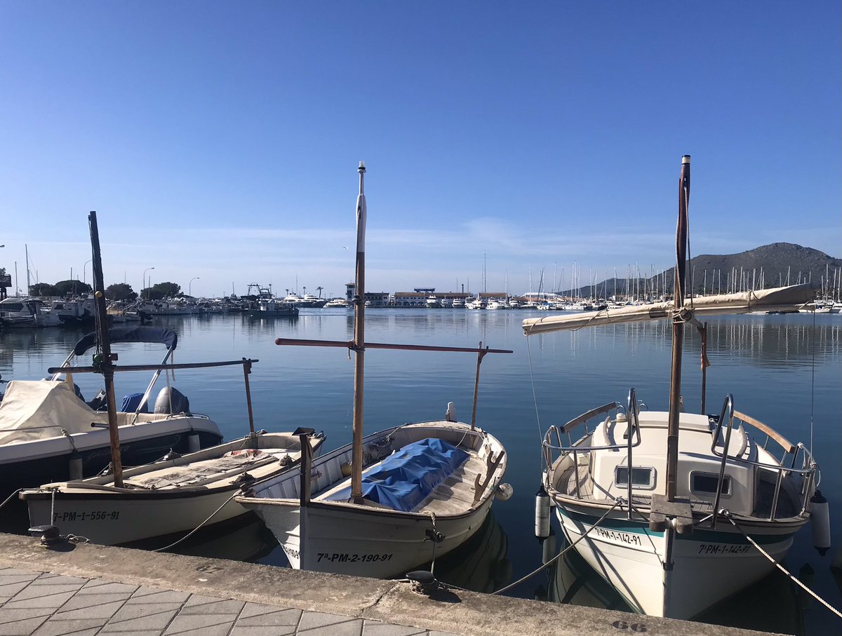 belviderefondo's tweet photo. Apologies but what a beautiful day today!! 😎☀️😍 https://t.co/bY9QUTZecy