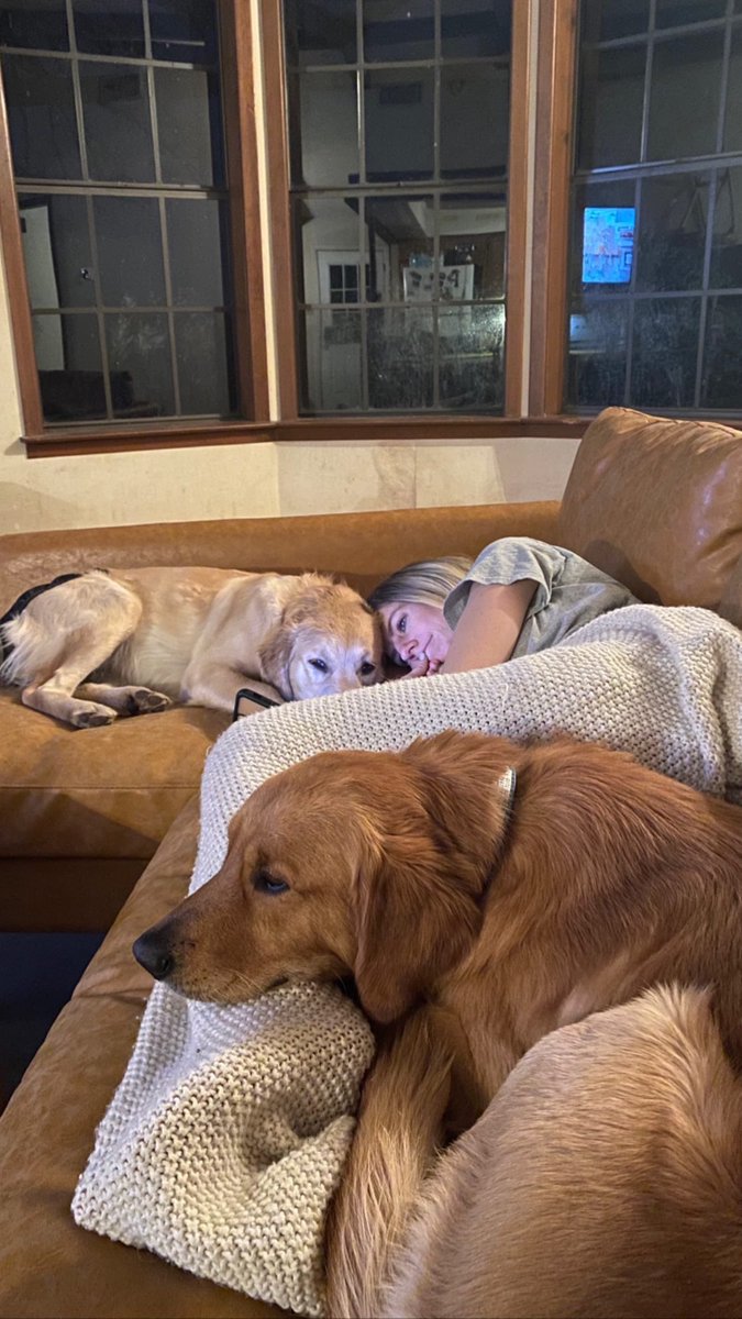 cassmcwha's tweet photo. MISSING GOLDEN RETRIEVERS. 
Missing since 2/19/22

Red Male named Coach 
White Female named Jersey 

$1000 reward. 

Missing from Kaufman county. Could be anywhere now. Please help. https://t.co/QHVxYdaKP7