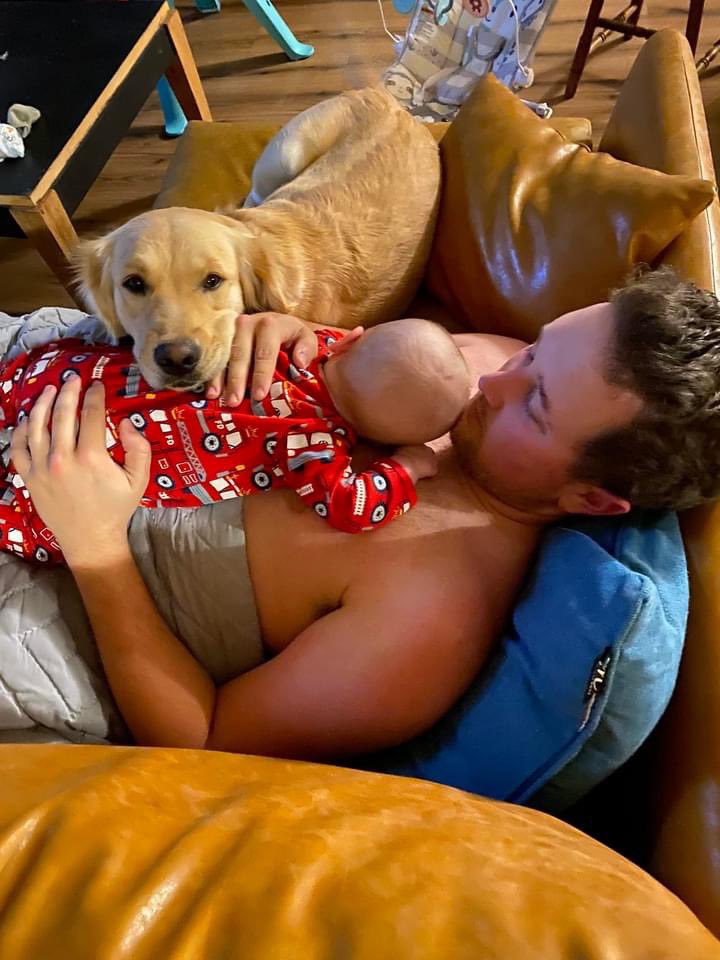 cassmcwha's tweet photo. MISSING GOLDEN RETRIEVERS. 
Missing since 2/19/22

Red Male named Coach 
White Female named Jersey 

$1000 reward. 

Missing from Kaufman county. Could be anywhere now. Please help. https://t.co/QHVxYdaKP7