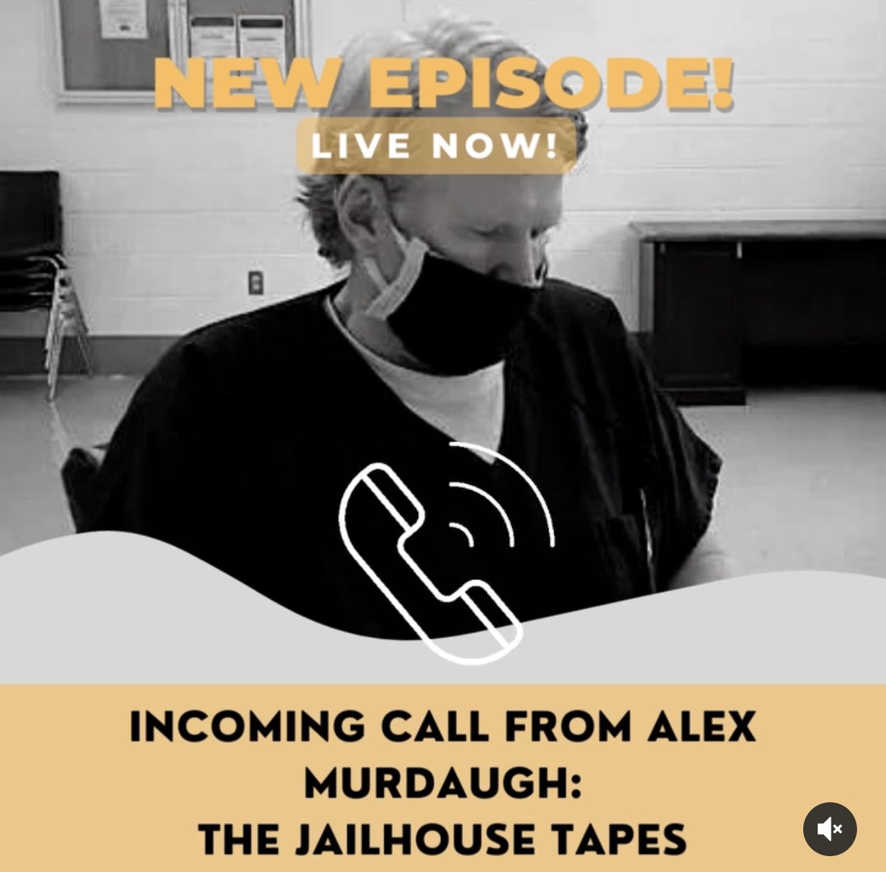 Mandy Matney on Twitter: "Episode 33 of the Murdaugh Murders Podcast is