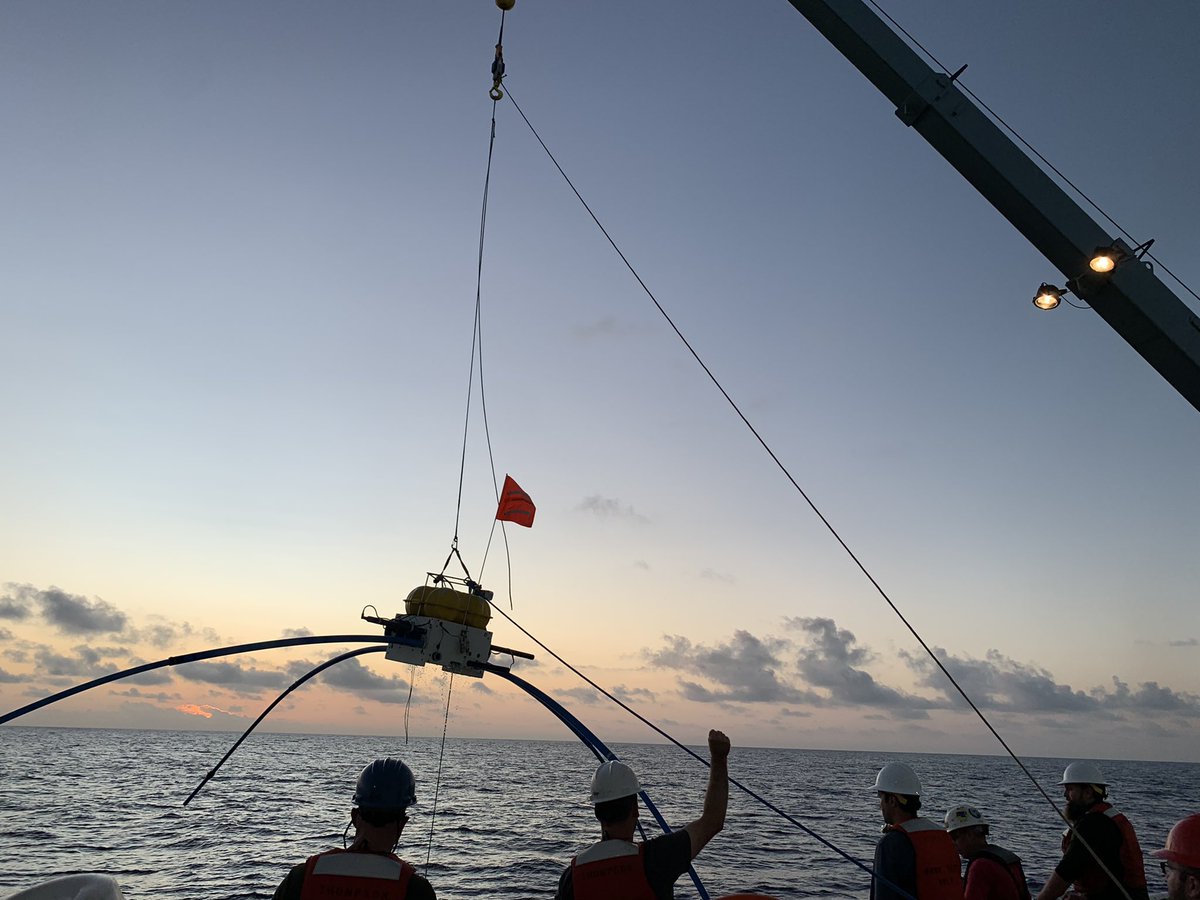 4CASTGofar tweet media