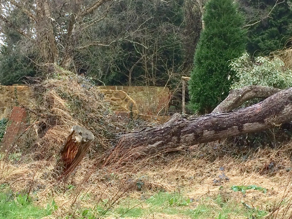 Pickhams tweet media