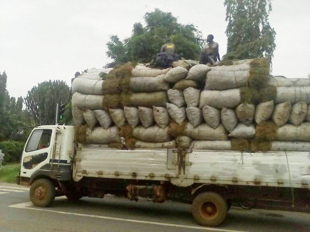 T_argos's tweet photo. #Burundi. Il s’observe certains accidents des #Fusso qui transportent du charbon sur la #RN7. Certains disent que cela provient du mauvais chargement tandis que les autres reprochent le tort sur le mauvais état de cette route. #Abatwip https://t.co/JIqJZruk4K