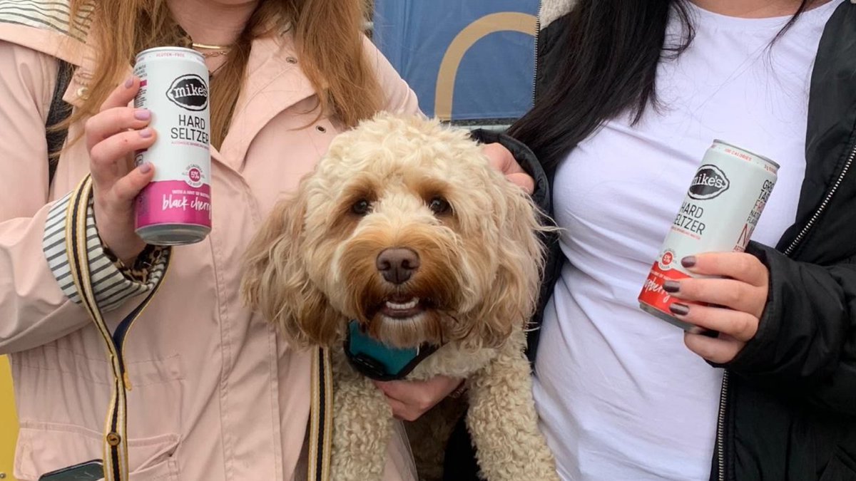 Us 🤝 anything doggo related