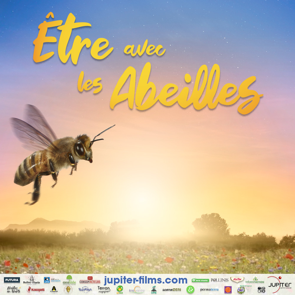 JupiterComs's tweet photo. 🐝Le film Être avec les abeilles dès maintenant disponible en DVD et en VOD
+ 2h30 de bonus inédit pour approfondir vos connaissances sur les abeilles
👉 https://t.co/RHmneK0Rtr
🌱1 DVD acheté= 1 arbre planté avec ReforestAction @reforestaction
#JupiterFilms #Abeilles #Cinema https://t.co/1dPgykEJvG