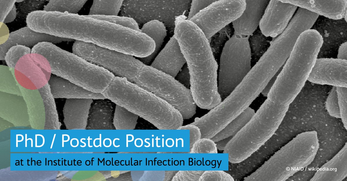 The <a href="/Uni_WUE/">Universität Würzburg #UniWürzburg</a> offers a #PhD/#Postdoc position at the Institute of #Molecular #Infection #Biology. Apply until Mar 31st👉uni-wuerzburg.de/fileadmin/3204… #PlsRT <a href="/JoergLab/">Jörg Vogel</a> <a href="/SharmaLab1/">Sharma Lab</a>  @mona_alzheimer @SinaBartfeld @nikfamel @FabianK6665 <a href="/kooshapour/">Hoda Kooshapour</a> <a href="/GoharMaedler/">gohar.maedler</a> @GianlucaMatera2 <a href="/elisa_vent/">Elisa Venturini</a>
