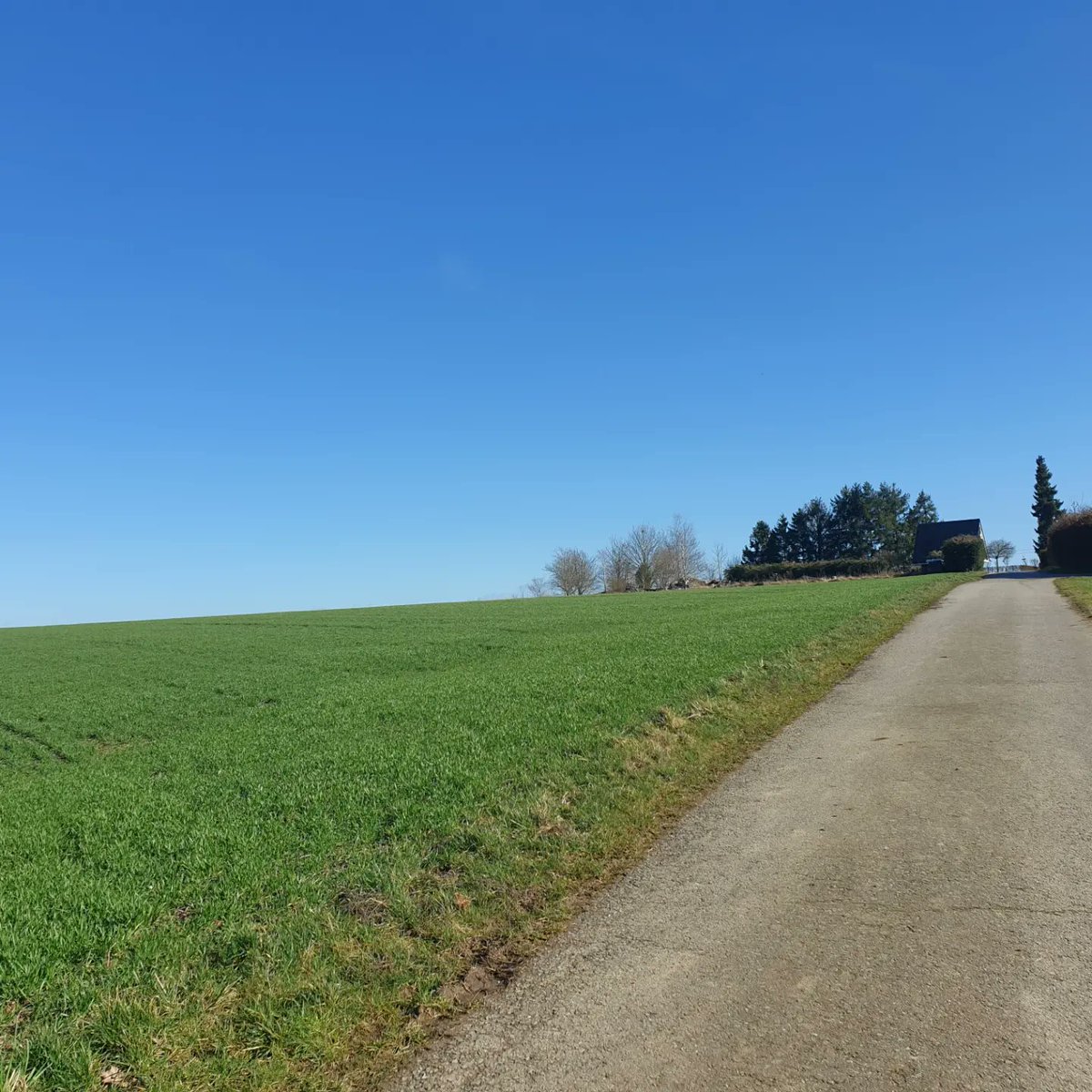 alexschrijft's tweet photo. Genieten van de dag. #wandelen door de landerijen van #grenderich https://t.co/XaPimBHflW