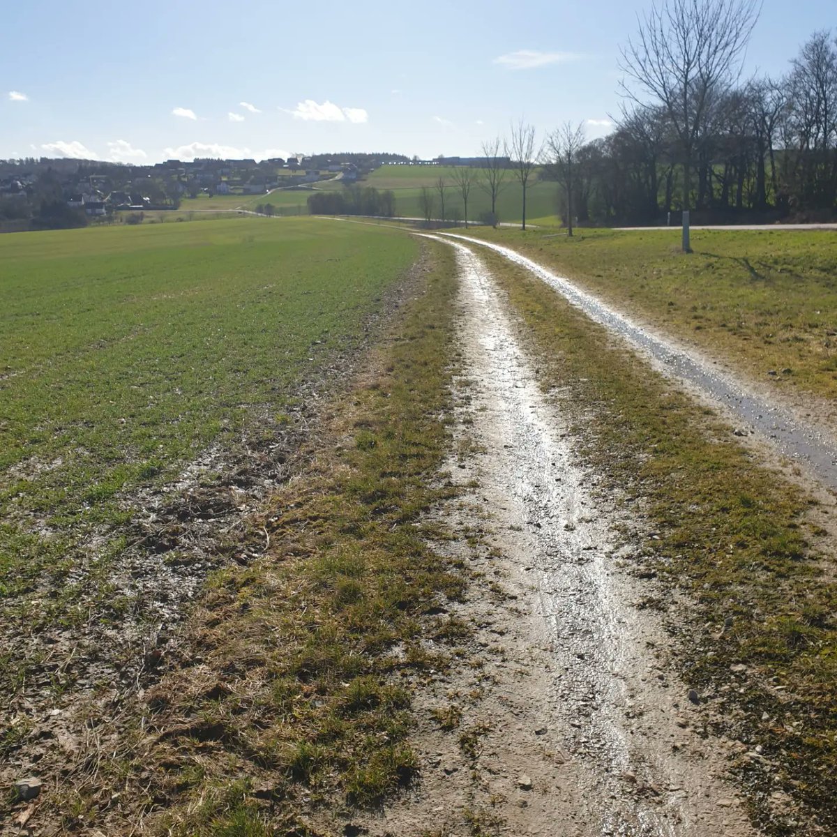 alexschrijft's tweet photo. Genieten van de dag. #wandelen door de landerijen van #grenderich https://t.co/XaPimBHflW