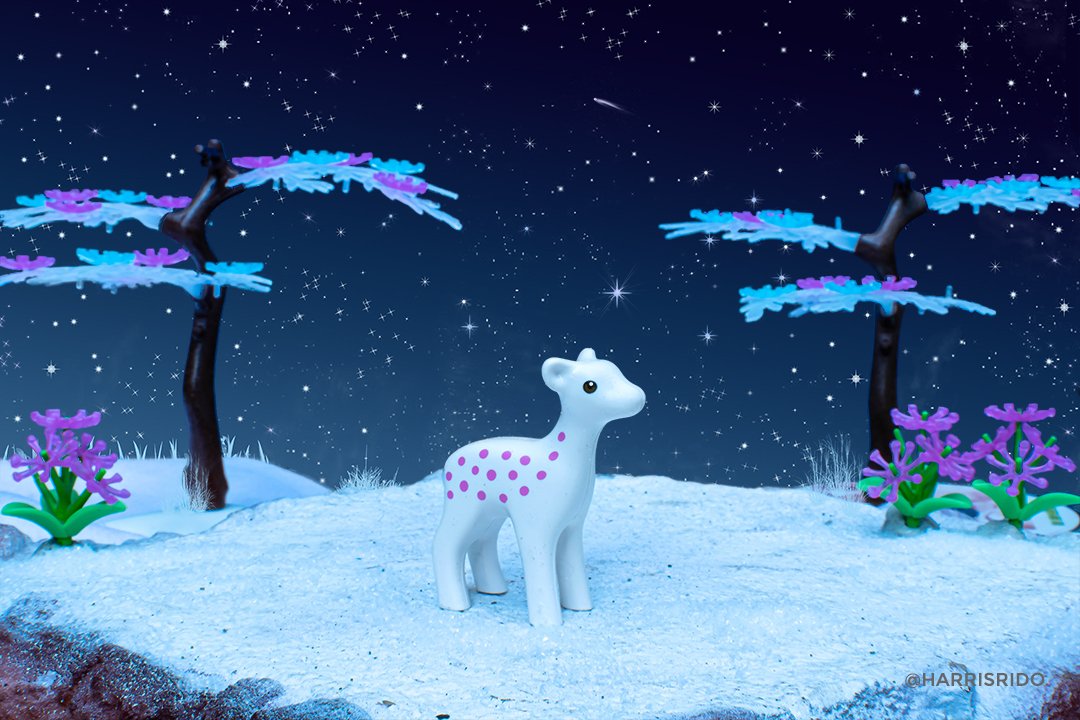 harrisrido's tweet photo. @playmobil 123 #deer #winter #starrynight #snow #beautiful #white #magic #playmobil #toy #magic #trees #flowers #stars #shootingstars #spielzeug #inverno #invierno #juguete #flores #naturaleza #diorama #toycollector #toyphotography #peace #paz #zen https://t.co/IxZ4BEBUe3
