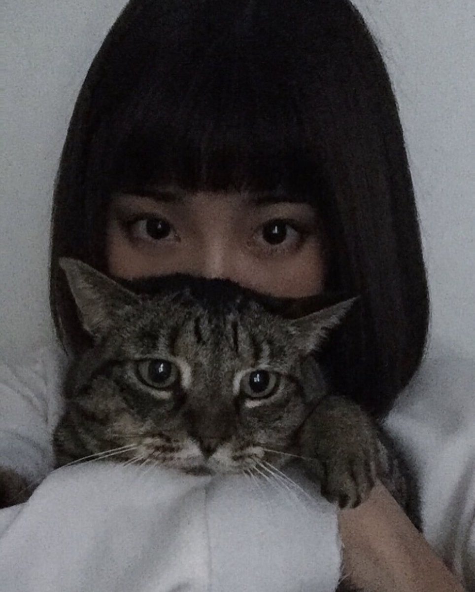 NeftiGirl's tweet photo. My baby💓

#CatsofTwittter https://t.co/lauerYKxE5