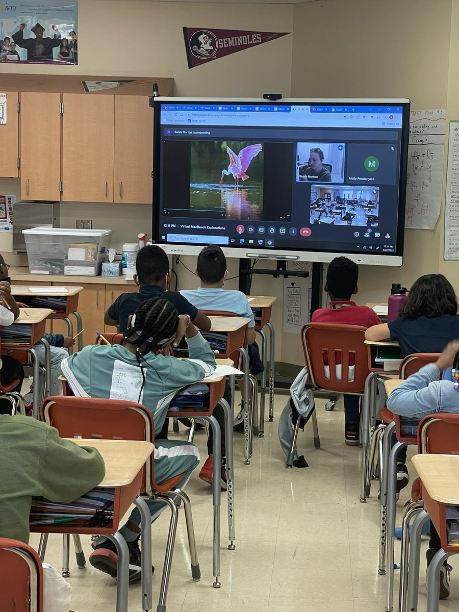 MrGretzinger's tweet photo. We had a blast yesterday on our MacBeach Virtual Field Trip! The students loved learning about all of the different bird adaptations (except the woodpecker tongue which is terrifying!) @PBCSDScience @evacwynar https://t.co/TU3s5nAKUR