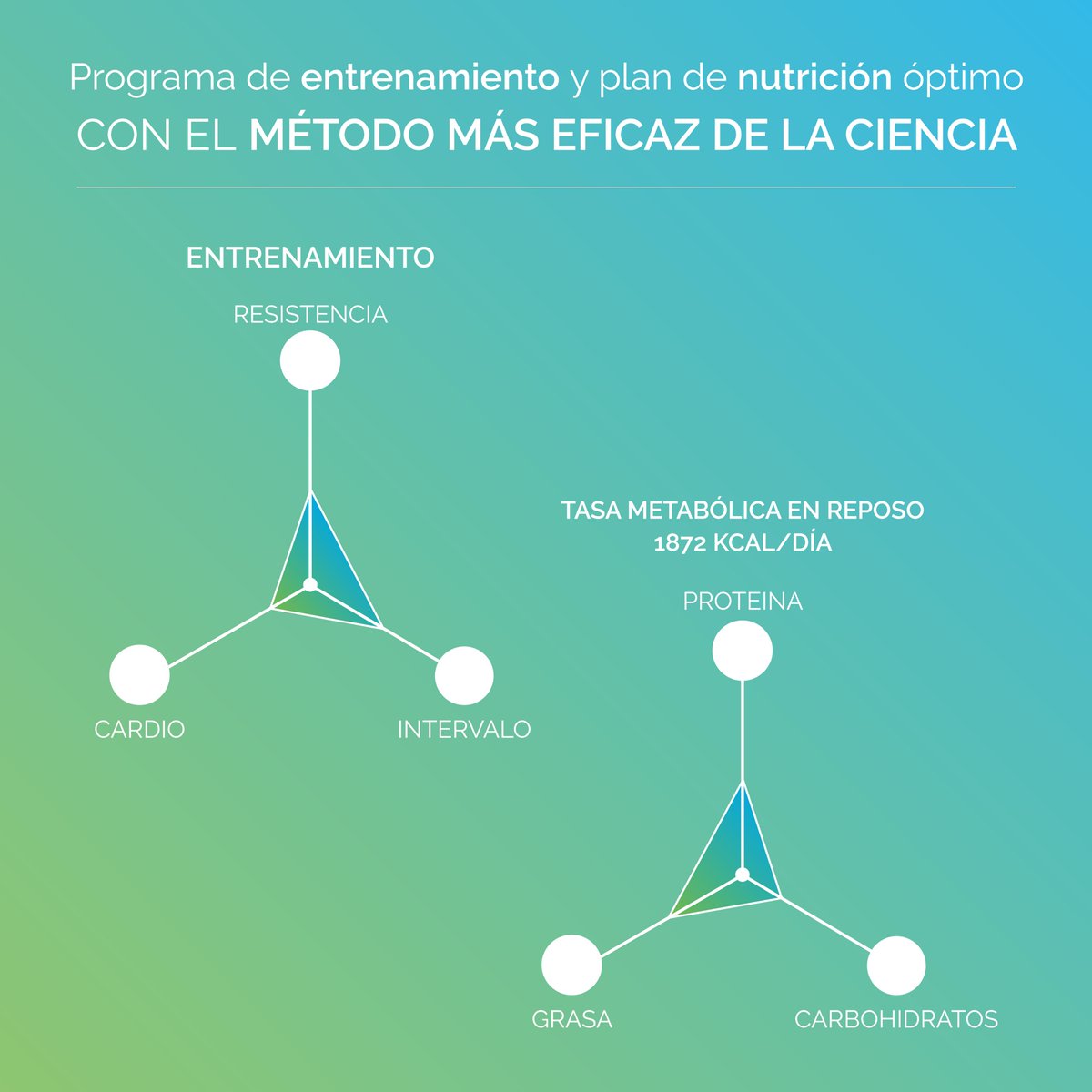 Sanro_oficial's tweet photo. @Pnoe_Analytics🔝 es la herramienta más potente para los profesionales del #Fitness🏋🏼y la #Salud con la que podrás ayudar a tus pacientes👩🏼‍⚕️en sólo 10 minutos🕒a obtener una visión COMPLETA de su estado físico para mejorar su calidad de vida💪🏻con una garantía de éxito absoluto👌🏻 https://t.co/AyRAyMSVtR