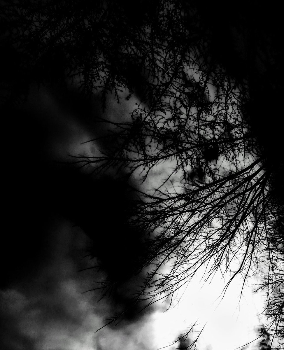 Eric Thomas (@ericthomast19) on Twitter photo 