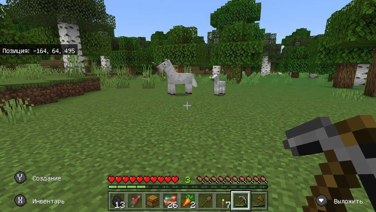 RheaSaturnus's tweet photo. #Minecraft #NintendoSwitch https://t.co/CBAzRrd0dz
