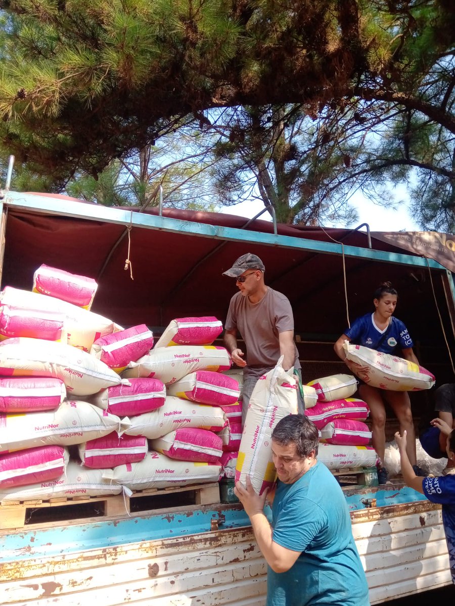 IvoWichmann's tweet photo. Luis, amigo, cliente y dueño de Nutrinor, cargo su camión con alimentos balanceados, ropa, medicamentos, agua e insumos veterinarios y los donó en Santo Tomé, Corrientes.
Ayudando donde más se necesita, con las cosas que se necesitan
#CorrientesEnLlamas #SOSCorrientes #Nutrinor https://t.co/Y2s7owoYDN