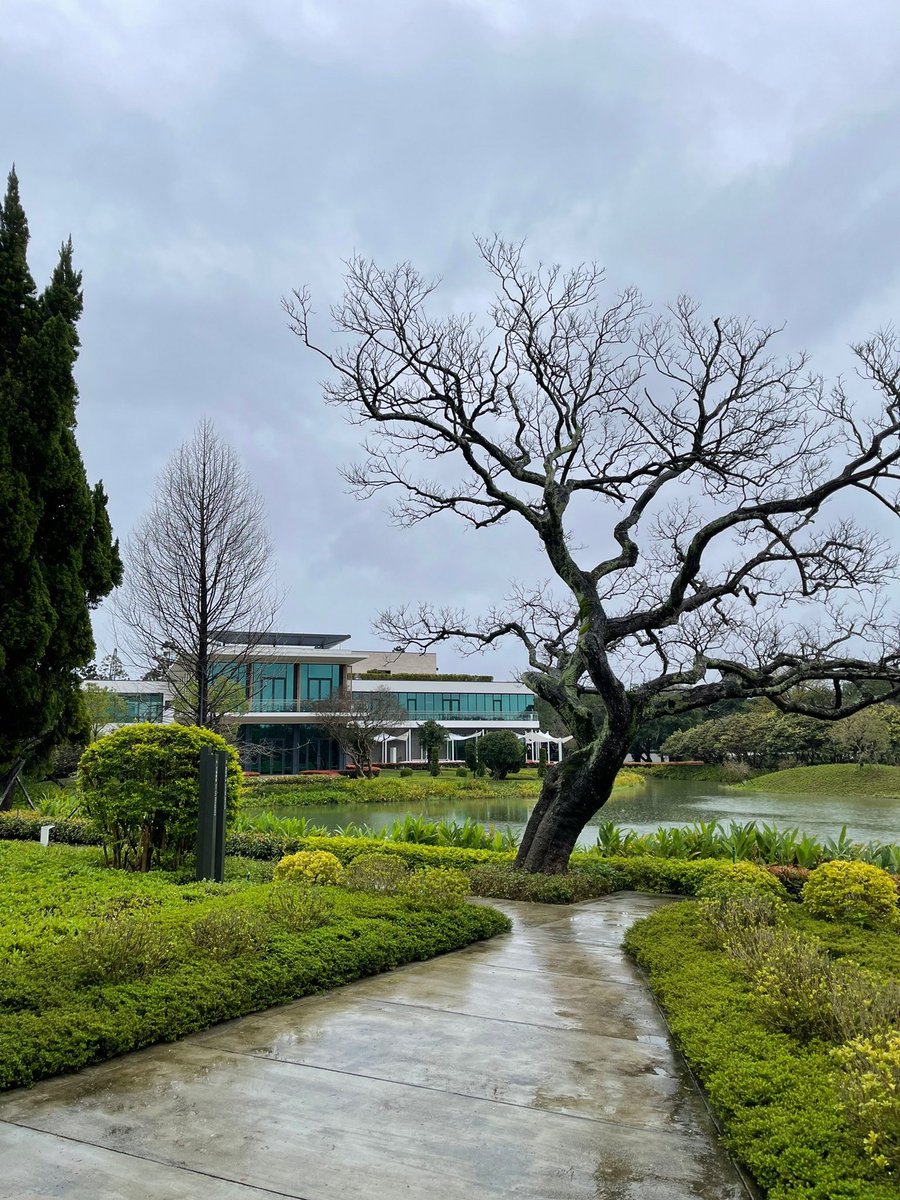 Ingrid Hsing tweet media