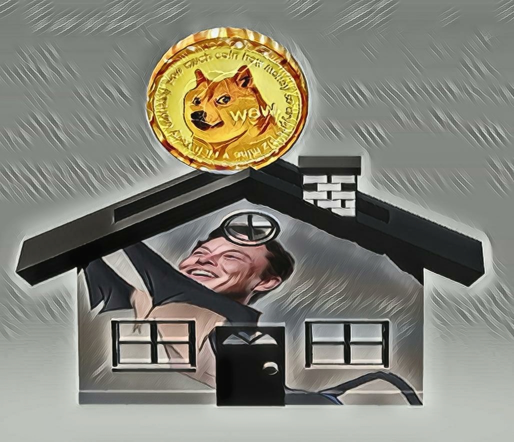 HouseElon's tweet photo. 😱😱Doge_House #001😱😱
The first of many Doge_House_NFT is here...

CHECK FIRST HERE⬇️⬇️⬇️⬇️⬇️
#NFTs #NFTCommunity #NFTartist #NFT #NFTCommunity #NFTGiveaway #nftcollector #NFTdrop @DogecoinBot  #DogecoinArmy @DogecoinRise https://t.co/eRBc9igAfi