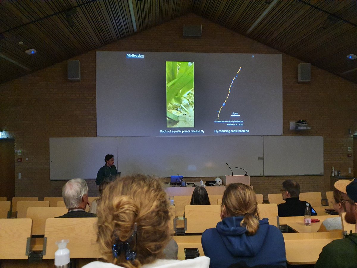 JamieLustermans (@jlustermans) on Twitter photo <a href="/CEMAarhus/">Center for Electromicrobiology</a> <a href="/Vincent_Scholz/">Vincent Valentin Scholz</a> just gave an amazing presentation during his PhD defense about #cablebacteria appearing around #aquaticplants and #mitigating #methane emissions when around #rice <a href="/CEMAarhus/">Center for Electromicrobiology</a> <a href="/Vincent_Scholz/">Vincent Valentin Scholz</a> just gave an amazing presentation during his PhD defense about #cablebacteria appearing around #aquaticplants and #mitigating #methane emissions when around #rice