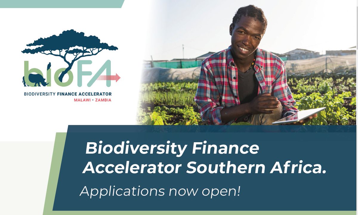📢 Biodiversity Finance Accelerator: Apply NOW till March 22!
 
If you are
✔️ market-driven entrepreneurs in Malawi and Zambia
✔️ with biodiversity-positive solutions, i.e. #sustainableagriculture, #ecotourism, #reforestation

▶️ biofa.info/application-fo… 

<a href="/adelphi_berlin/">adelphi 🌐</a> @BMUV
