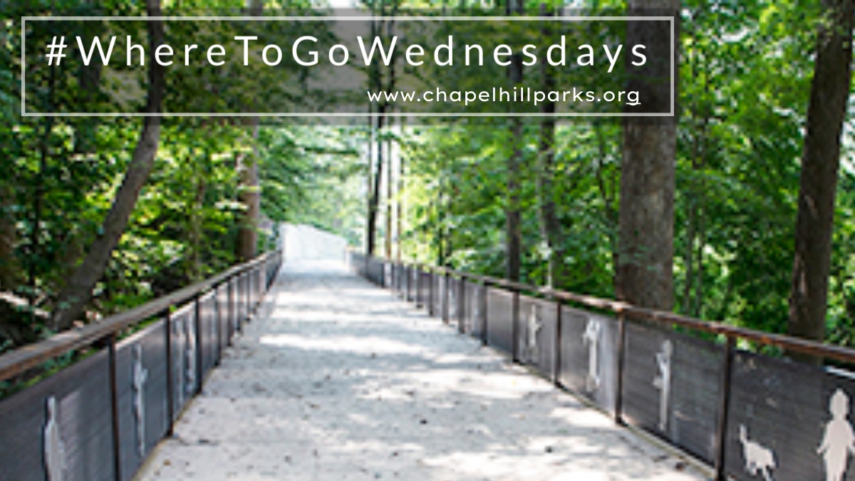 CHParksRec's tweet photo. This week's #WhereToGoWednesday is Tanyard Branch Trail! This newly paved surface trail links the Northside neighborhood with Umstead Park. Featuring a few steep slopes and one of our new Storywalks, you're sure to have some fun exploring! https://t.co/RtD9QROC8a https://t.co/6p2Fg0yT4s