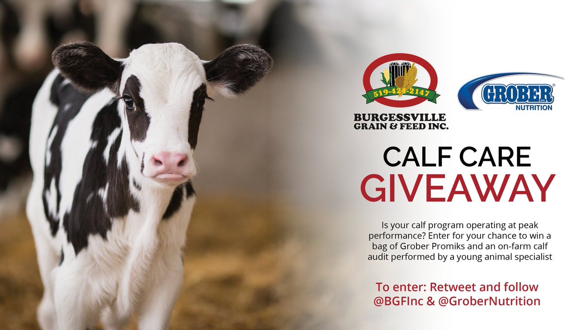 GIVEAWAY - Calling all dairy producers - enter for your change to win a calf audit and a bag of Grober Promiks! Simply follow us and <a href="/GroberNutrition/">Grober Nutrition</a> and retweet for a change to win. #OntAg #calfcare