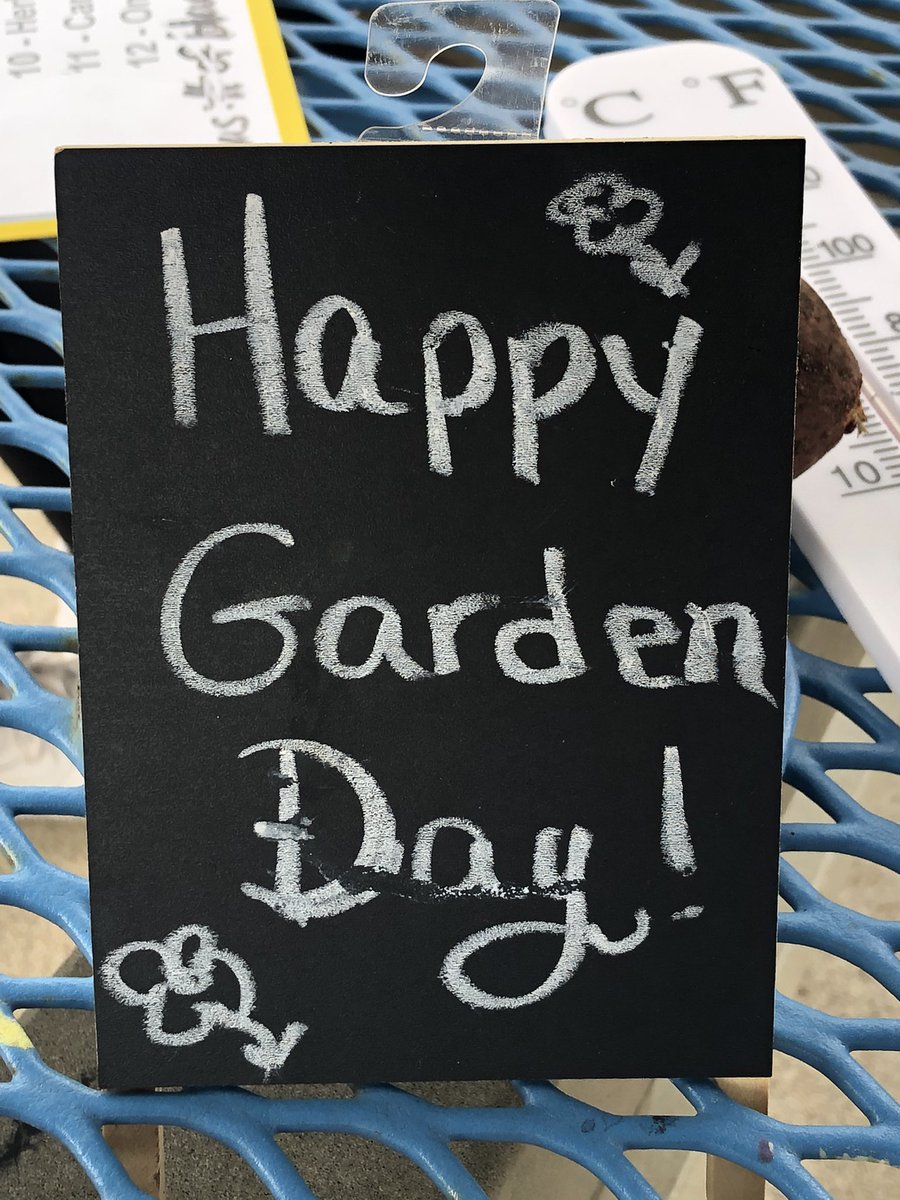 Swenke_Science's tweet photo. Garden Day!  One of the happiest days of the year!  Thank you @readygrowgarden  #swenkeproud #swenkescience https://t.co/ifryhA9UyJ