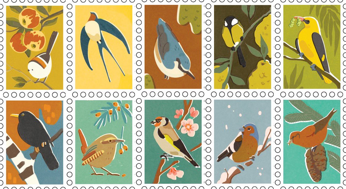 bird washi tapes ⭐️ pattern consists of ten different stamps! i was inspired by the matchbox designs 

🙌 1nd row: Longtailed Tit, Swallow, Nuthatch, Great Tit, Golden Oriole
🙌 2nd row: Blackbird, Wren, Goldfinch, Finch, Red Crossbill