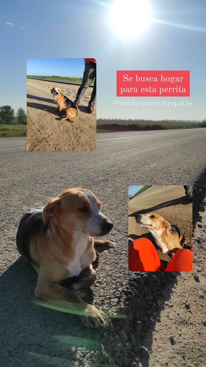 HT38002's tweet photo. Si pueden difundir se los agradecería ‼️👇 https://t.co/7RVxFD0Kys
