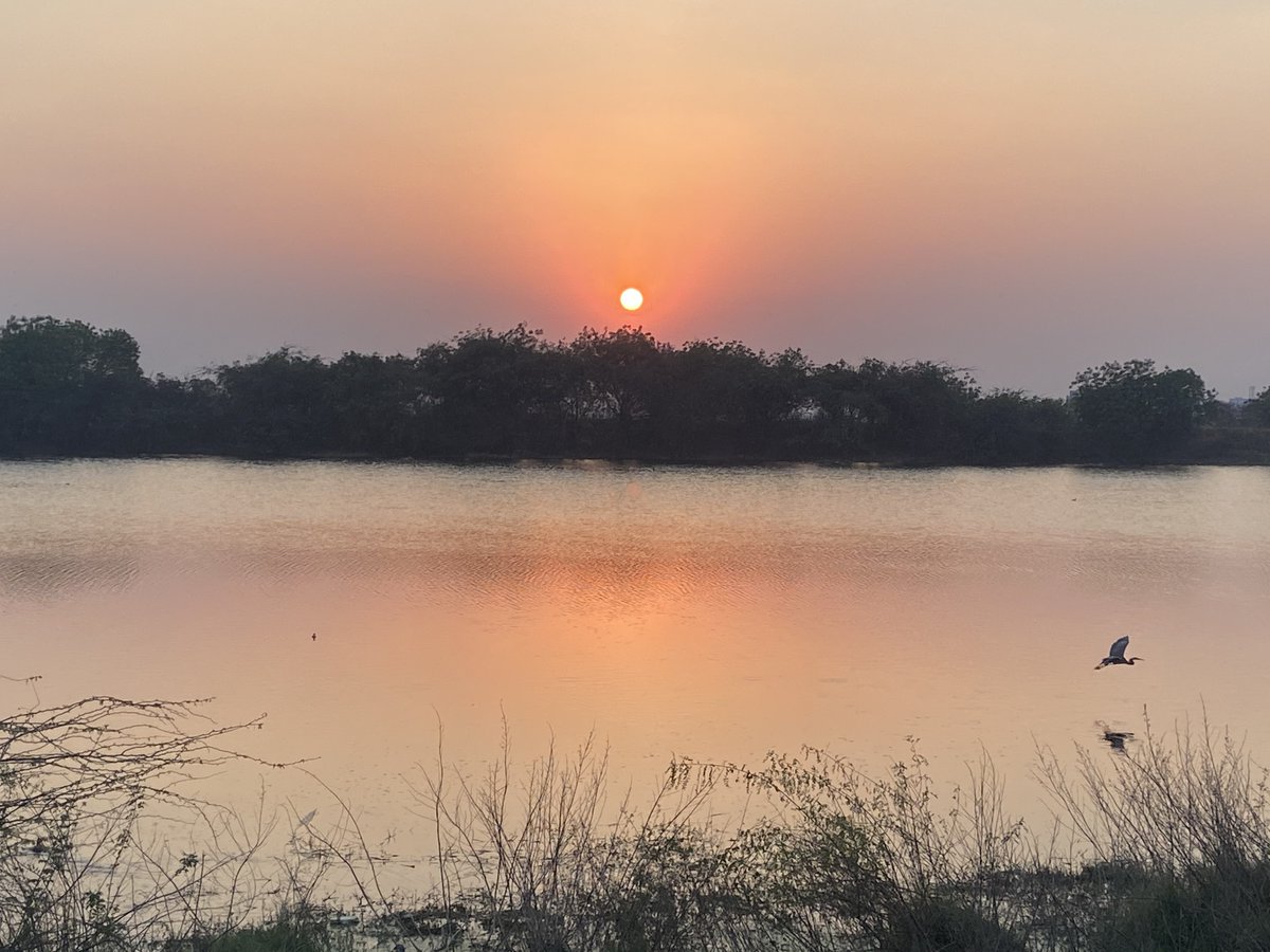 SKSahu29's tweet photo. कहीं दूर जब दिन ढल जाए 
साँझ की दुल्हन बदन चुराए 

#NaturePhotography #sunsets #Lakers #TwitterNatureCommunity #nature #NatureBeauty #sunsetphotography https://t.co/vYQ3WODqgp