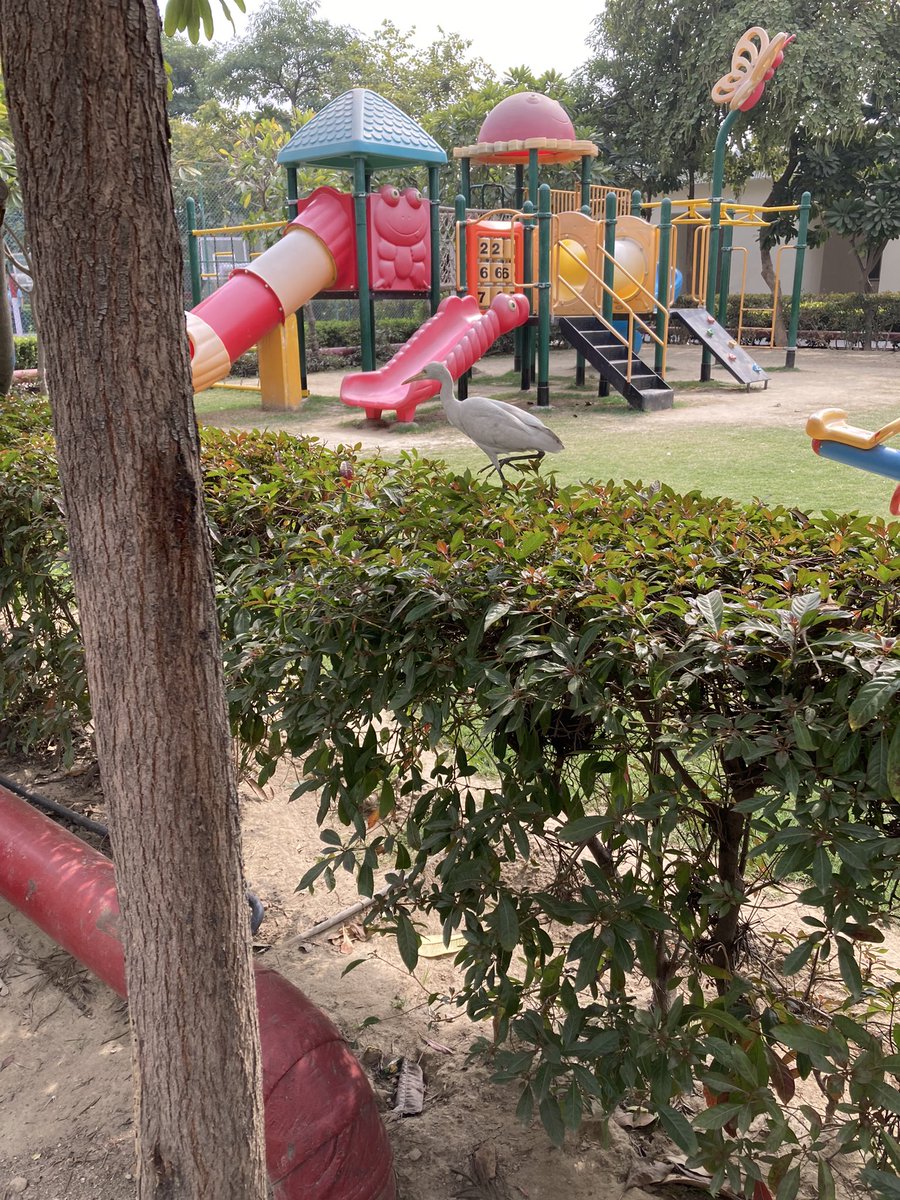 Sighted <a href="/PathwaysNoida/">Pathways School Noida</a> <a href="/missdevlina/">devlina singh</a> <a href="/GayatriMehta13/">Gayatri Mehta</a> <a href="/devikadatta15/">Devika Datta (She/Her) 🇮🇳 #IBEducator</a>