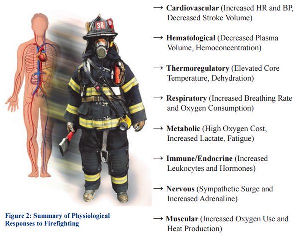 DanKerrigan911's tweet photo. "Fitness" means more that just working out.  Nutrition, hydration, rest &amp; recovery, and an understanding of the risk factors we face are all important elements of performance, ⬇️ injury and illness risk, &amp; longevity.  

More here: https://t.co/A4OPinBKvX

 📷Dr. Denise Smith https://t.co/uy0tn3cPjl