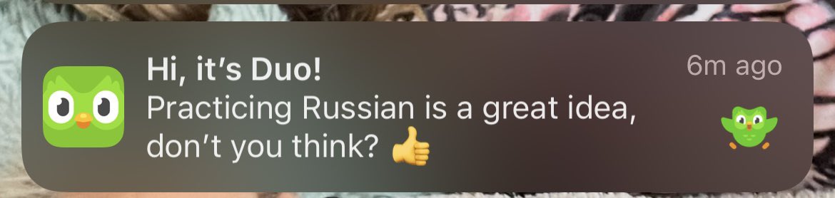 ApollskiEth's tweet photo. DuoLingo doesn’t seem to fancy our chances in the next war huh https://t.co/FCQEw5ZTos