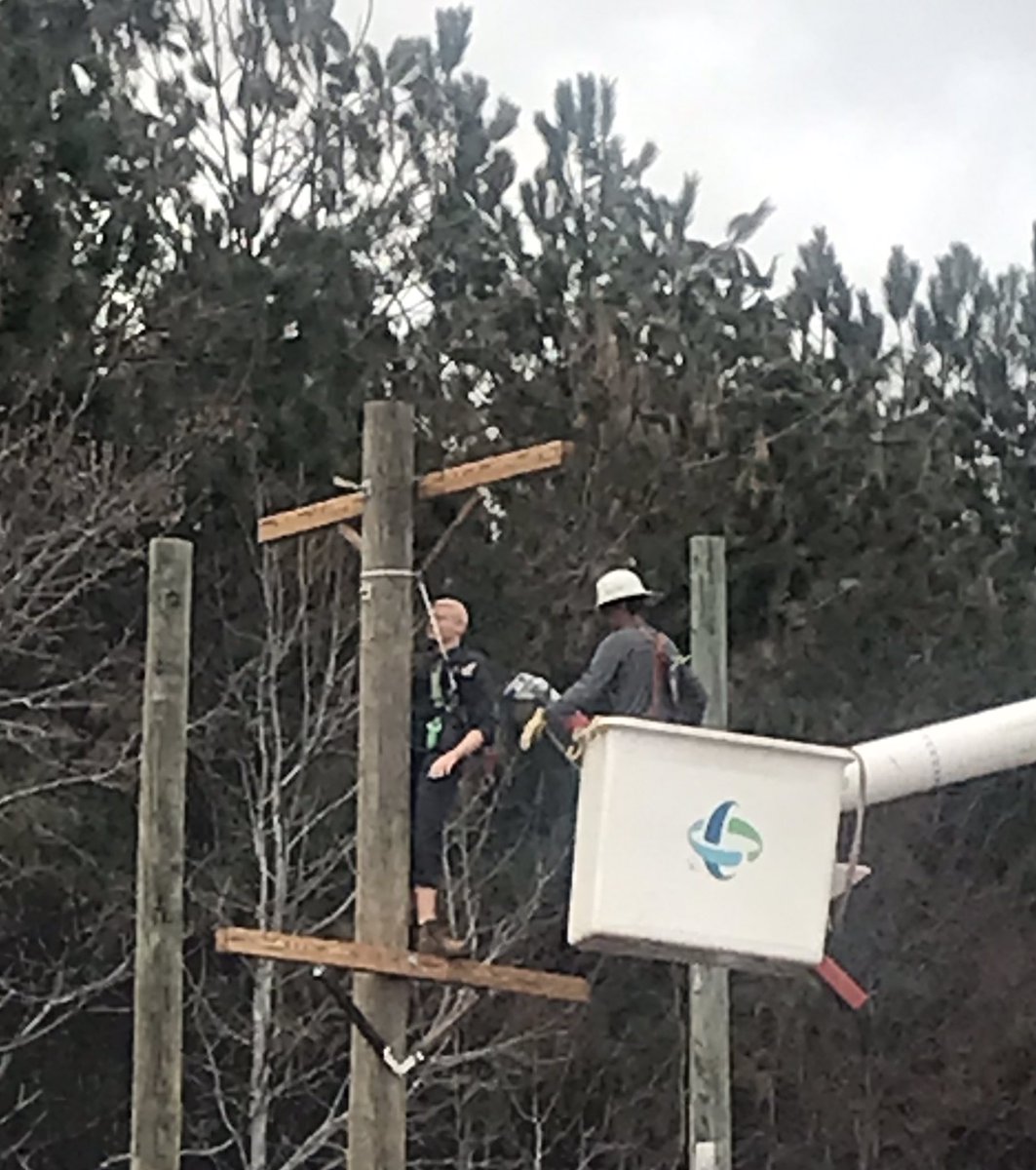 TheoLane13's tweet photo. Safety is always #JobOne @DukeEnergy , today & every day . Hoping to never use this training, linemen practice #PoleTopRescue techniques at @GreenwoodCitySC DE Operations Center in @ScGwd . https://t.co/pgOl2gRgQZ