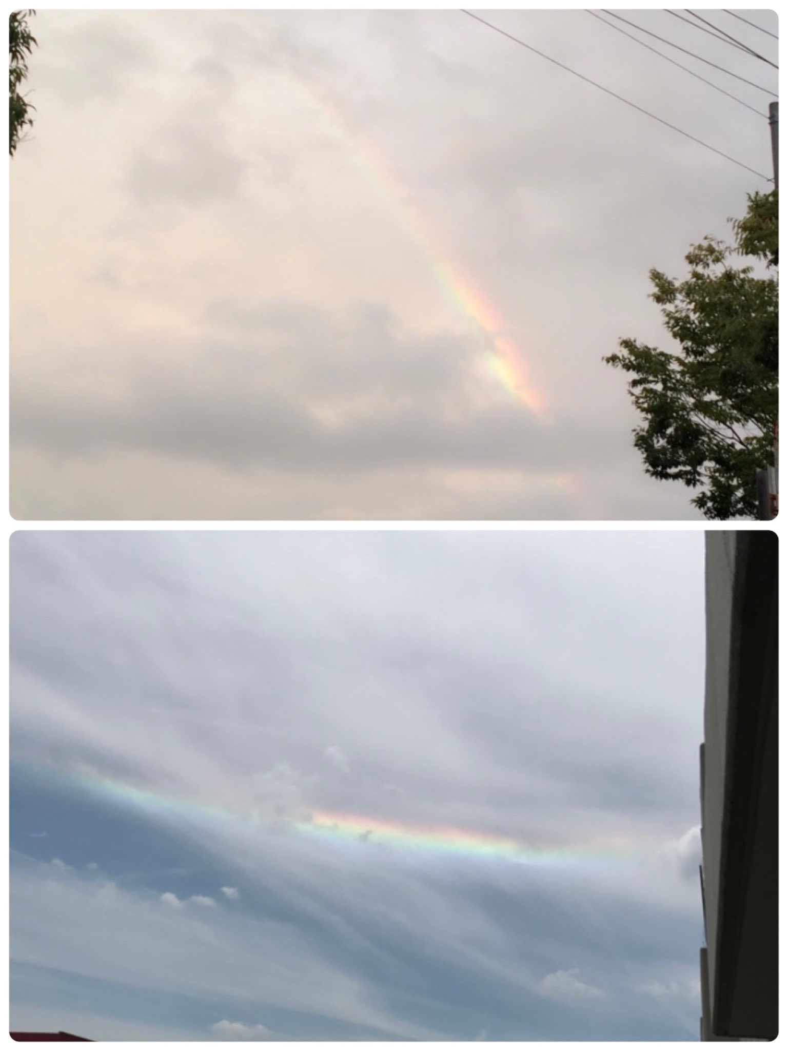 Luna テレビで椋平虹と地震についてやってた 上は 16 10 5 撮影 Kinki ガイシ 16 10 21 鳥取地震 震度6弱 下は 17 6 6 撮影 17 6 25 長野県地震 震度5強 すごっw ま 偶然よね T Co Us8jtdmty8 Twitter