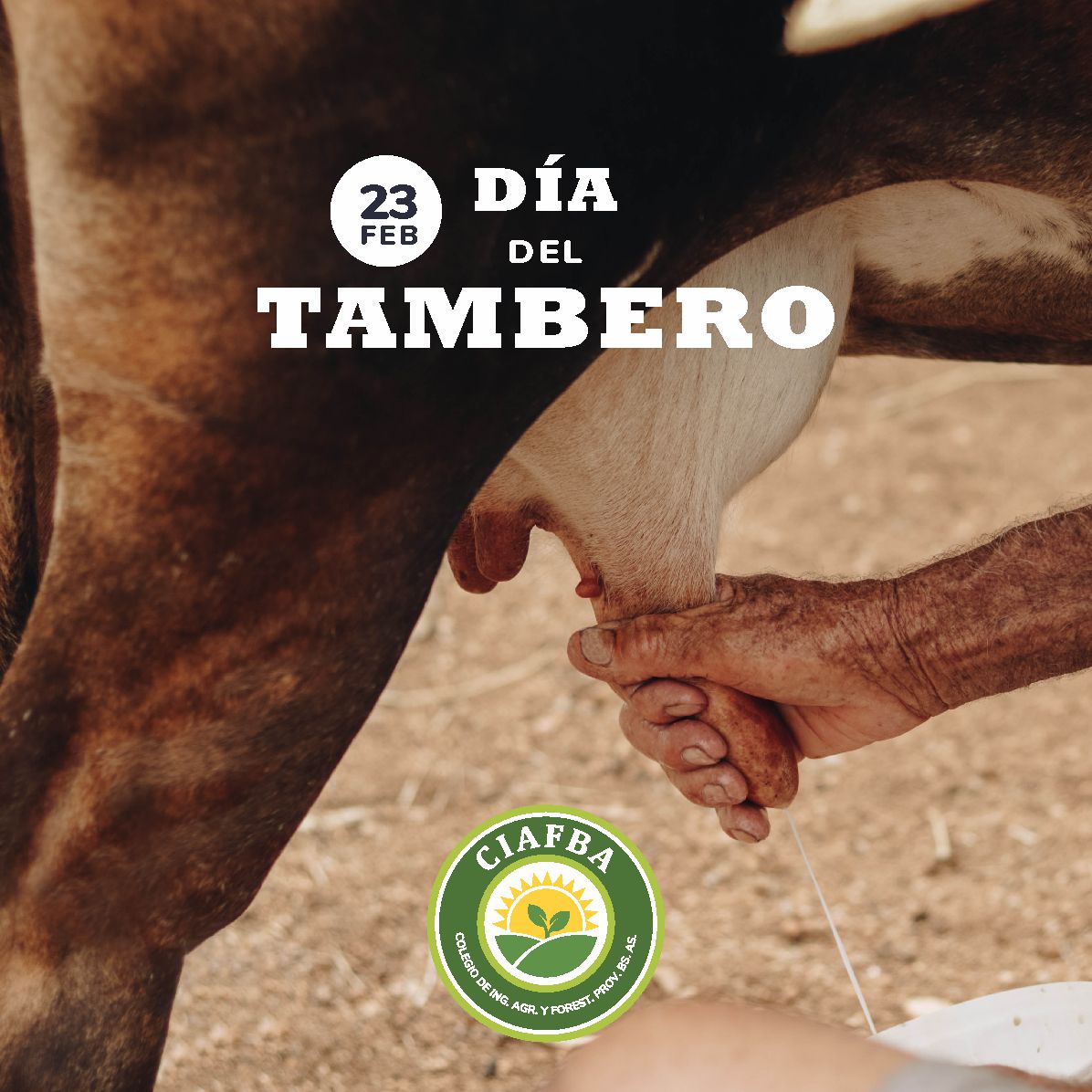 CiafbaOficial's tweet photo. 🐄🥛 23 DE FEBRERO 🥛🐮
DIA DEL TAMBERO

#SomosColegio 
#Tambero  
#FelizDia https://t.co/mXeDpgeO3j