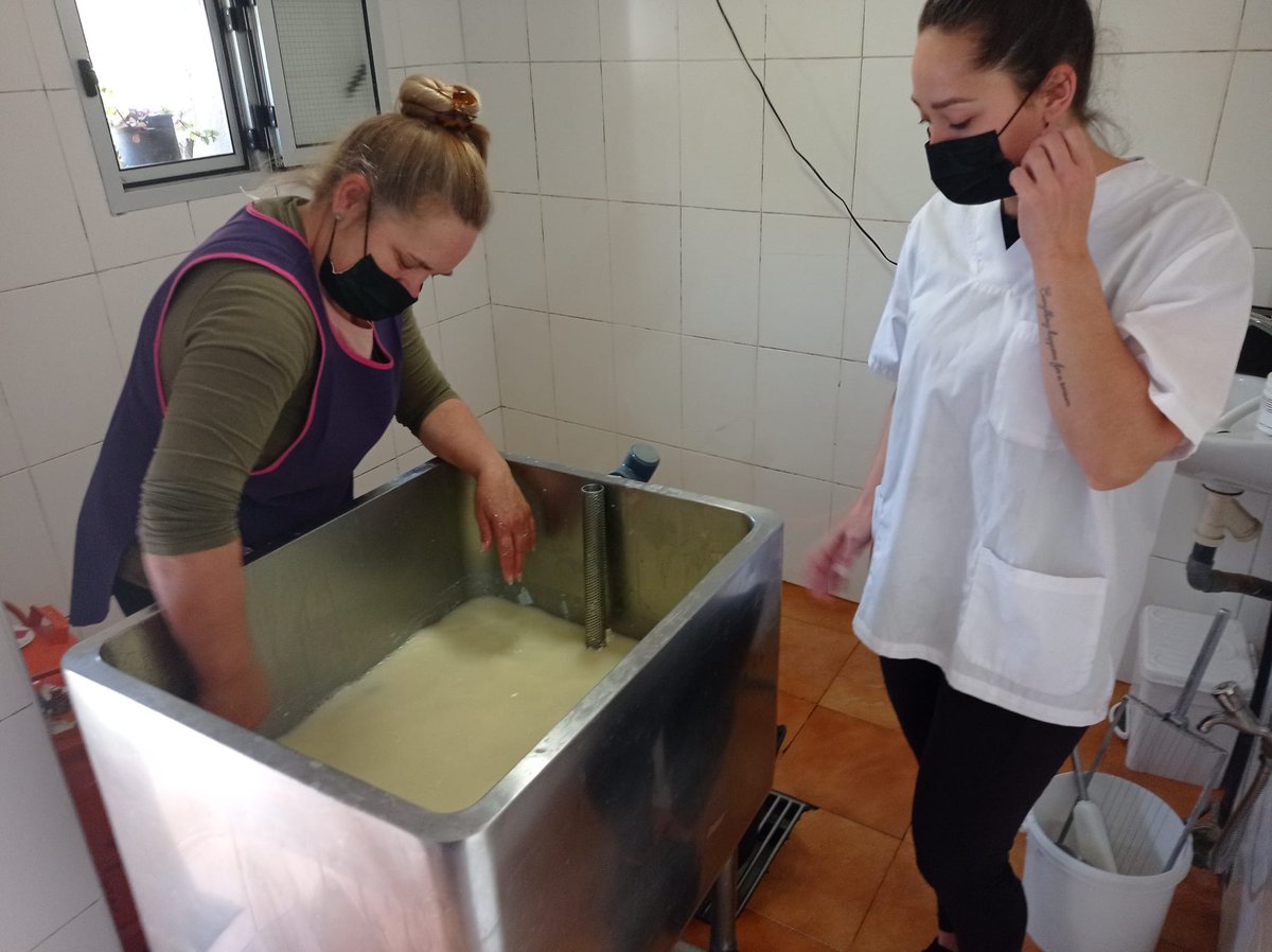CIFPSanCristoba's tweet photo. Entre suspiros y buen queso se desarrolló la 5ª "Ruta original" diseñada por alumnas de 2º del CFGS de Guía, Información y Asistencias Turísticas. Recorrido gastronómico y cultural por los municipios de Moya y Santa María de Guía. Participó BNI @uniongaldar https://t.co/X8r13uUQ2u